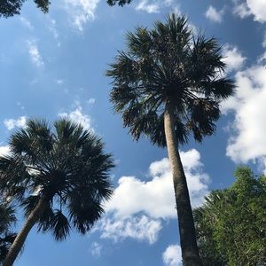 Meet your Posher, Cecily